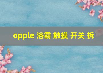 opple 浴霸 触摸 开关 拆